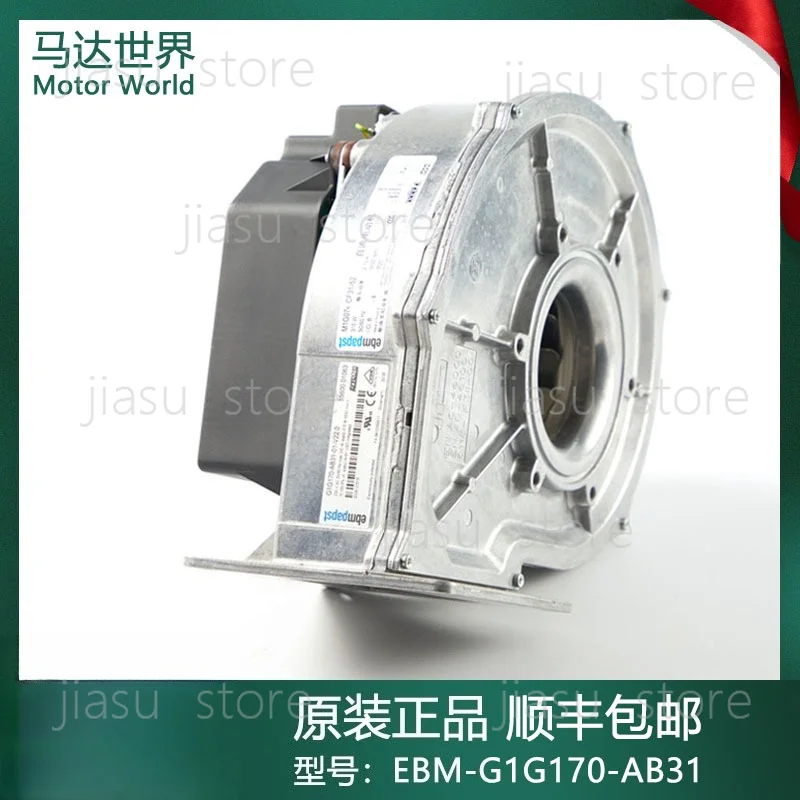 G1G170-AB31 Inverter combustion blower premixed low nitrogen condensing boiler steam Heidelberg