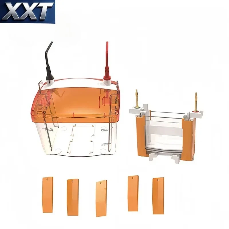 XXT Sickle Genotype Automaton Digital Electrophoresis Machine Vertical Apparatus for SDS PAGE Gel Essential Lab Supply