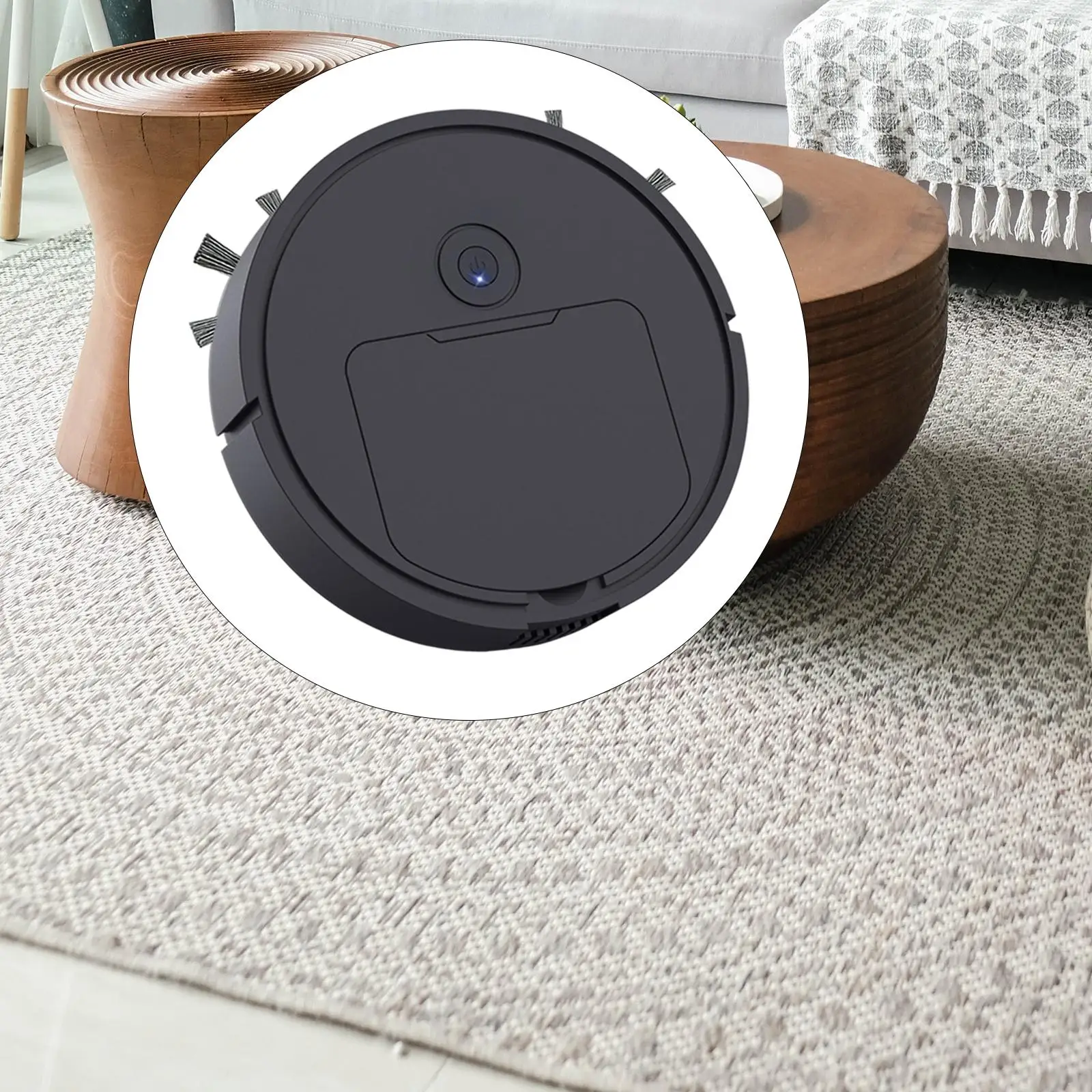Robot Vacuum and Mop Cleaner Applicable Environment for Pet Hair Hard Floors