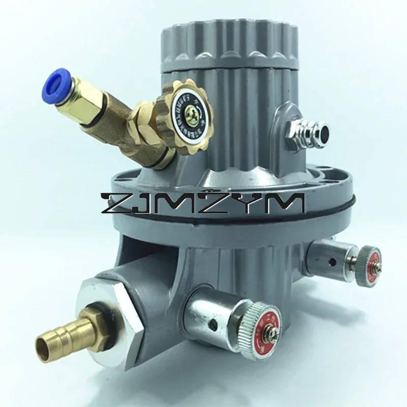 1Pc Corrosion-resistant Pneumatic one-way Diaphragm Pump QDM-CJ601S，핌플러버，bomb de diafragma unidireccional