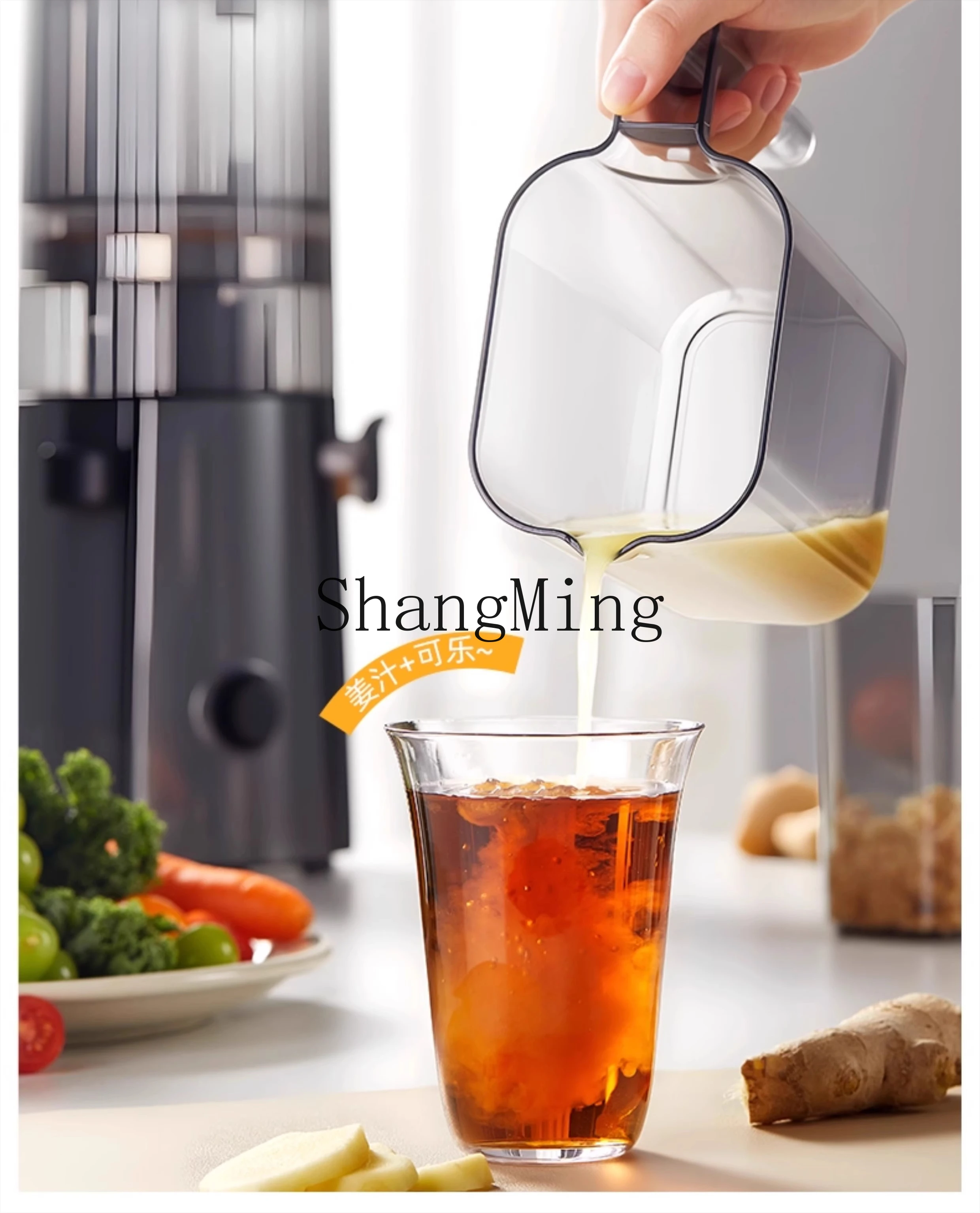 ZYY grote diameter slakken sap scheiding huishoudelijke kleine vruchtensap kookmachine mengmachine