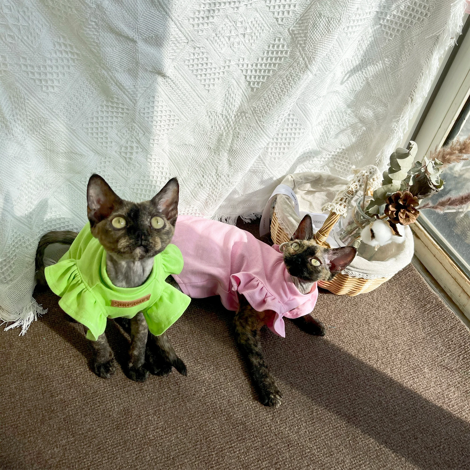 Cats Clothing Soft Cotton Pink Green Color Vest For Sphynx Cat Short Ruffled Sleeves Jumpsuit for Kittens Summer Dress