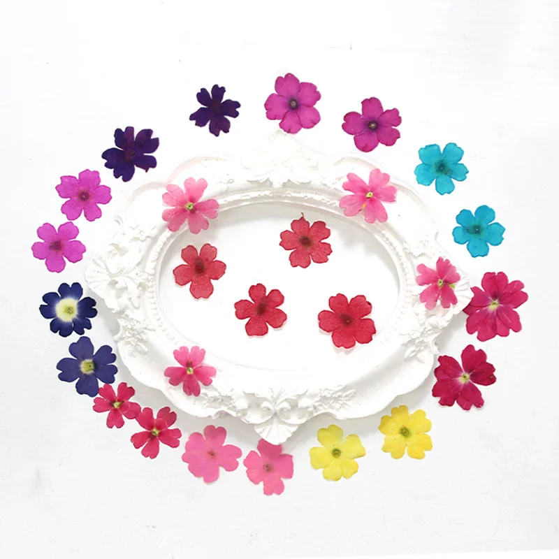 12 Stück, echte getrocknete Blumen, Prägematerialien, DIY-Zubehör für Epoxidharz, für Handyhüllen, Nagelkunst, Gesichtsaufkleber, handgefertigte Dekoration – Detail 2