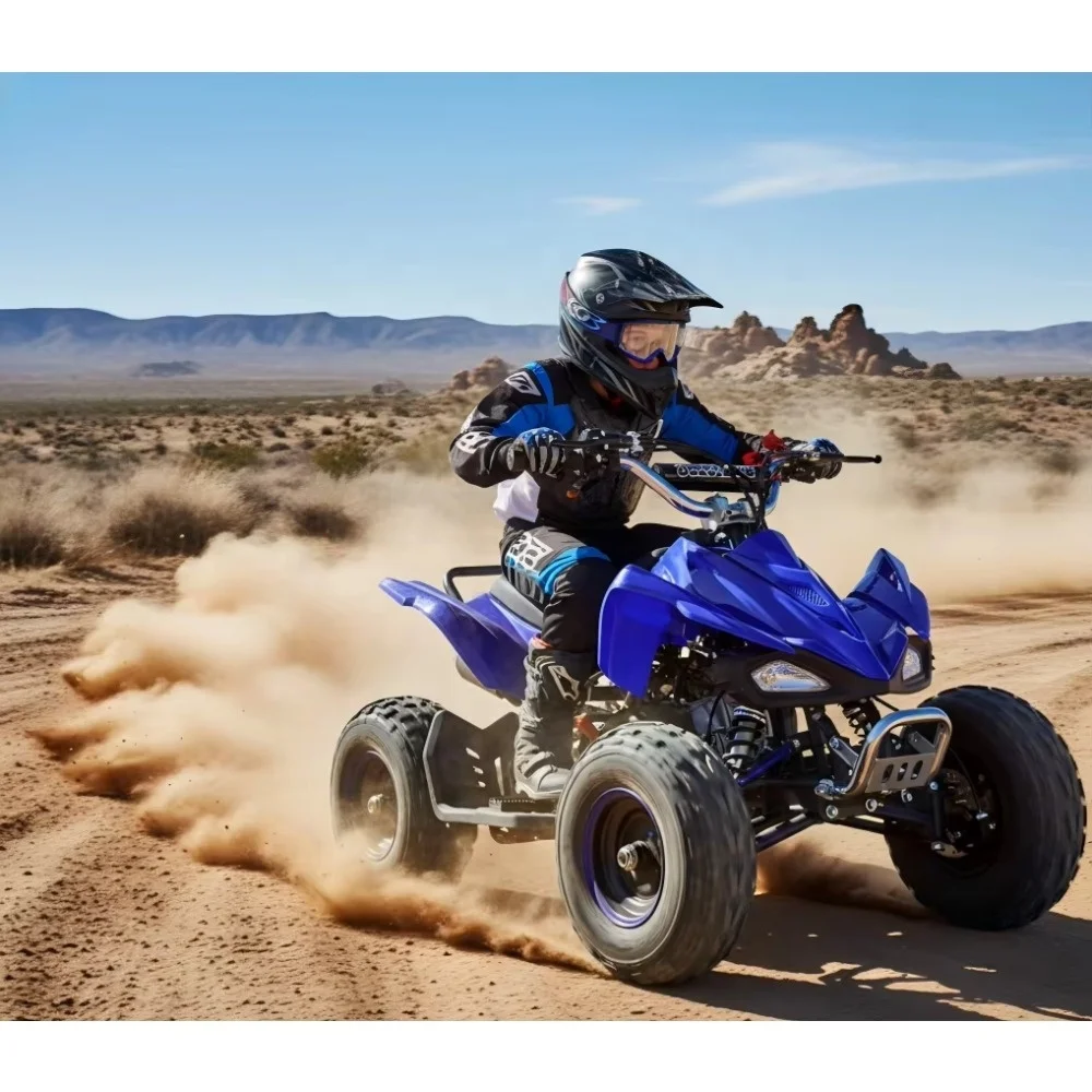 49cc 2-Stroke Gas Powered Kids ATV 4 Wheeler Mini Quad Bike Off-Road All-Terrain Vehicle for Boys Girls Automatic