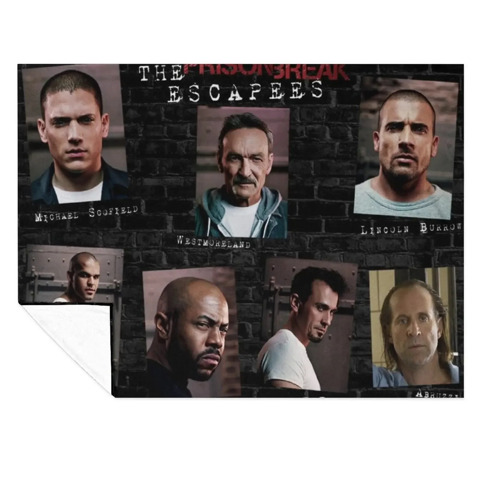 

Prison Break Throw Blanket Plaid Bed covers Shaggy Winter beds Blankets