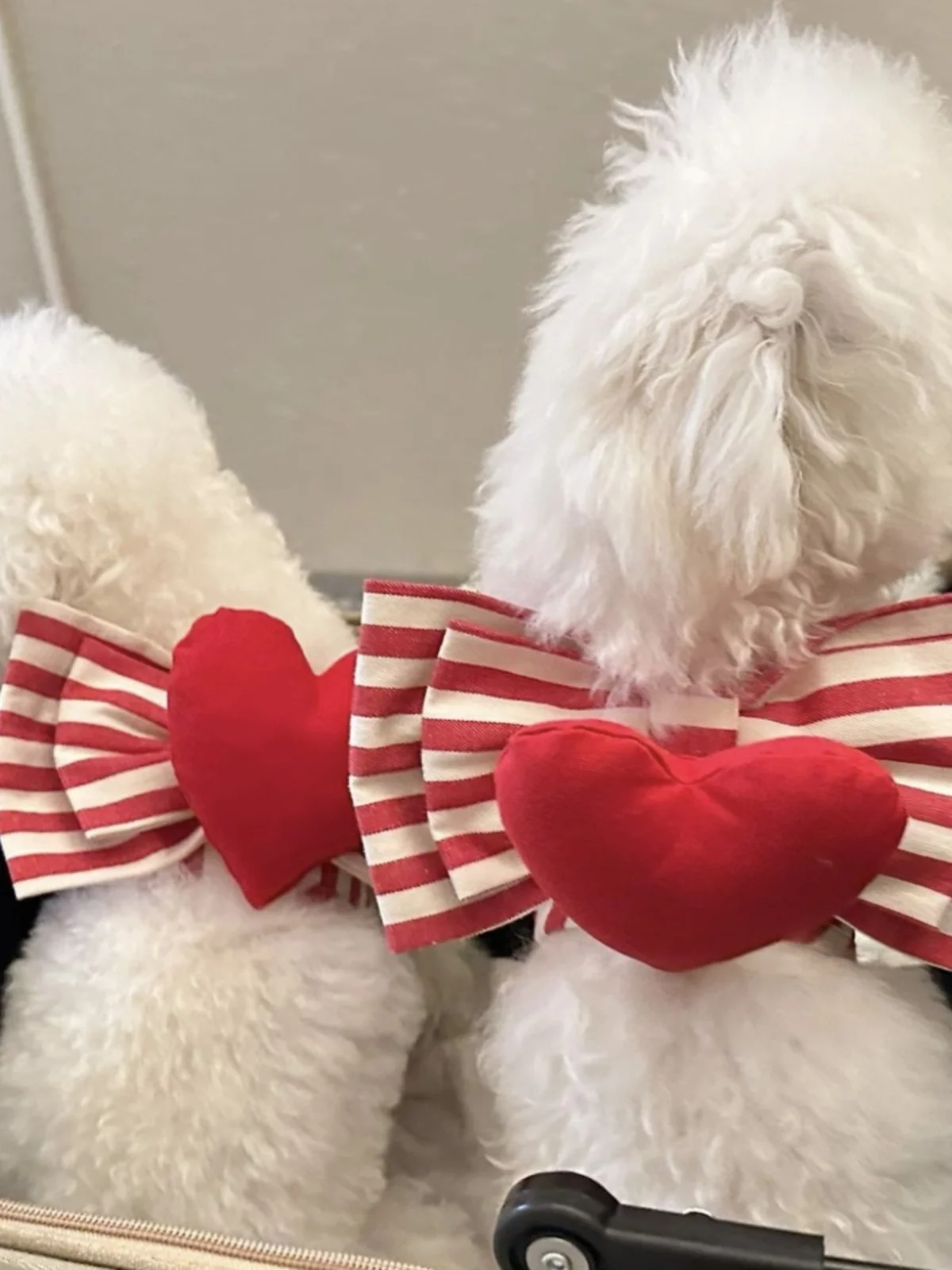 Adorable Heart-Aped…