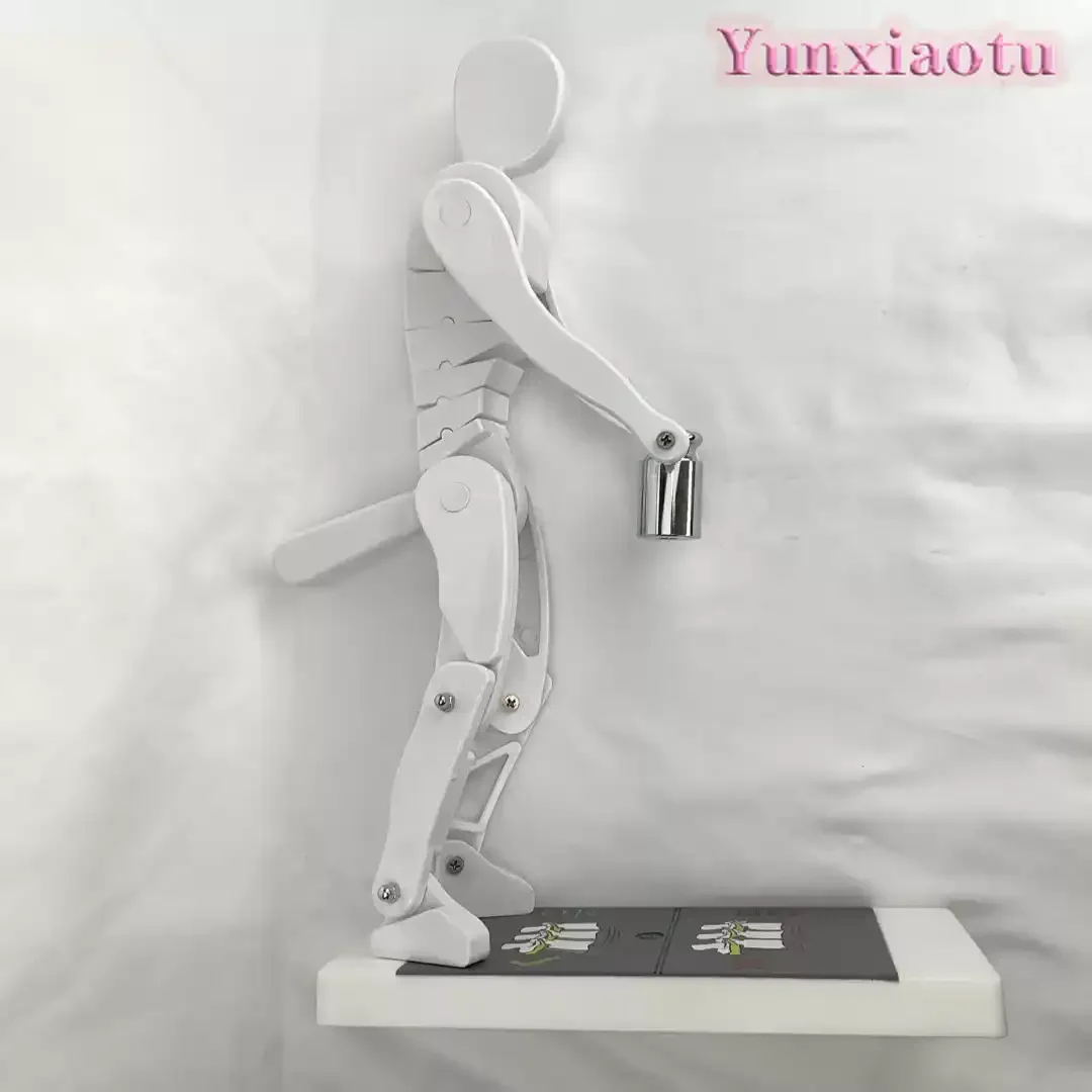 Spine Lumbar Stress Demonstration Model for Weightlifting Fitness Safety Health Operation