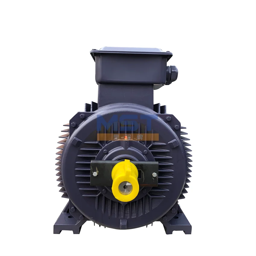 New Product Ye1kw-315kw High Efficiency 3 Phase Induction Motor