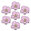 PE7832CT