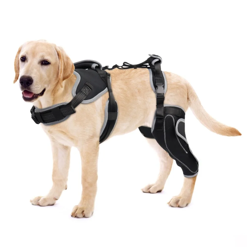 

Reduces Pain Hind Leg Dog Legs Brace Auxiliary Belt Dogs Leg Protectors Dog ACL Brace Support Dog Knee Rehabilitation Belt