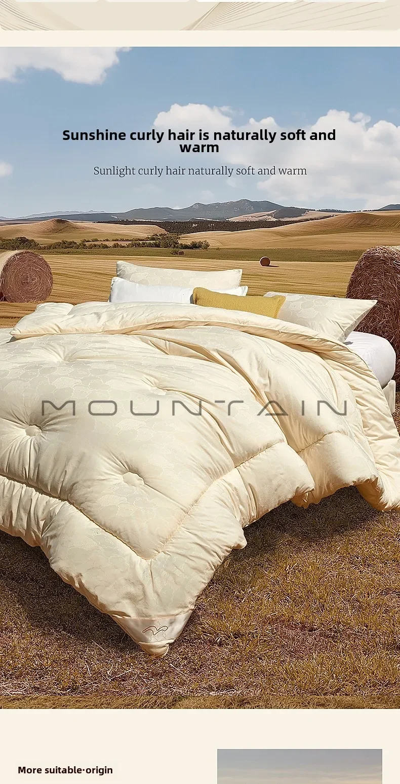Australian wool thickened winter quilt Class A bacteriostatic warm quilt core bedding