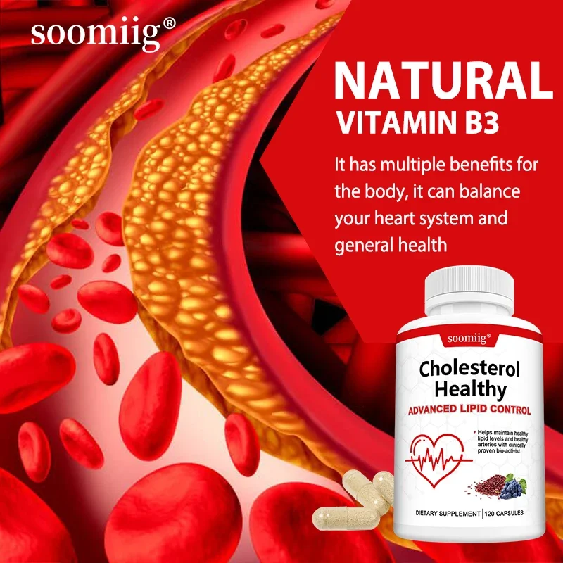 Cholesterol Health, Heart and Circulatory Benefits, Antioxidant, Supports HDL Cholesterol Levels, Boosts Metabolism