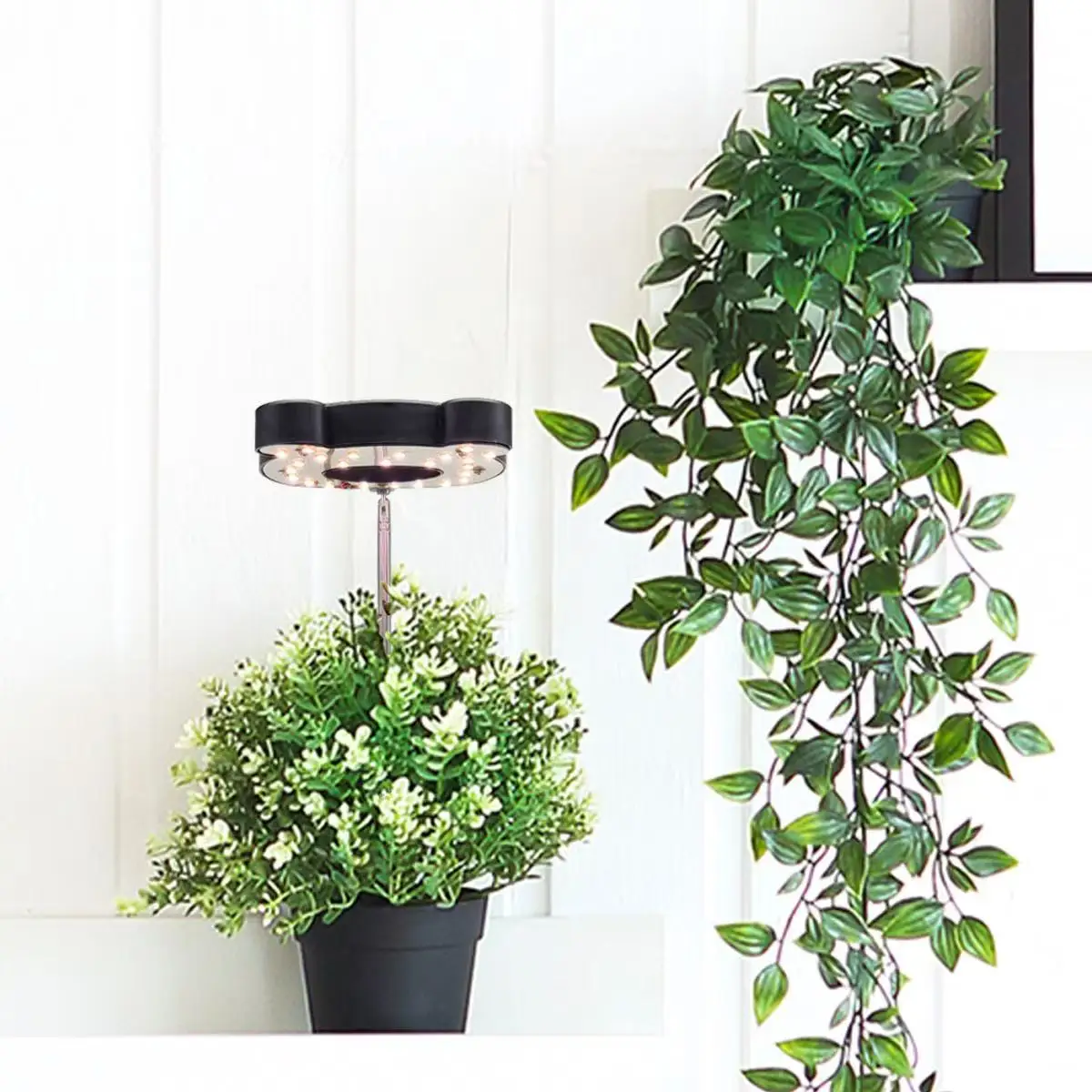 ضوء نباتي LED كامل الطيف، ضوء نمو مثالي للنباتات الداخلية، ضوء نمو قابل للتعديل مع 4 سطوع قابل للتعتيم #6