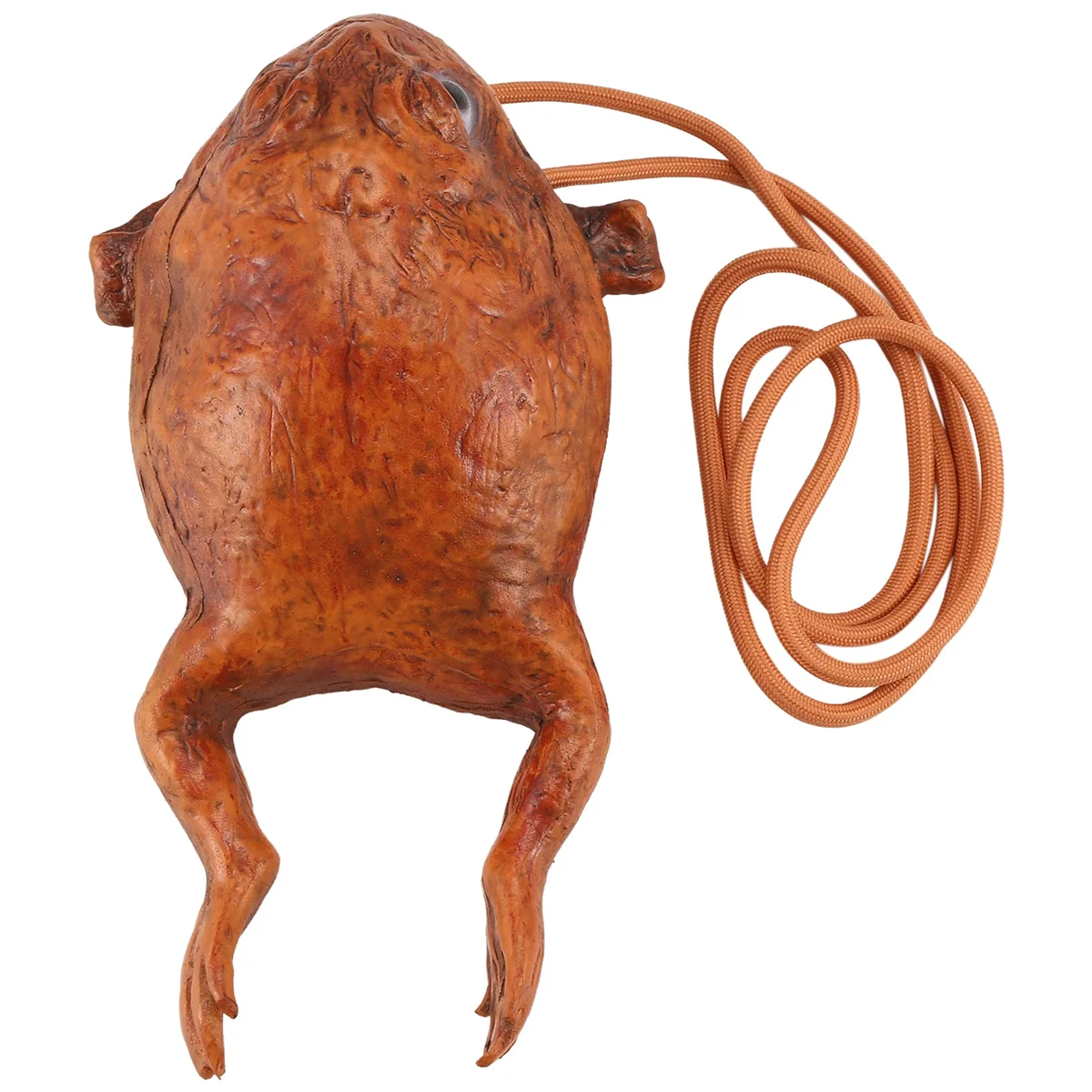 BISM مضحك العلجوم المحفظة الفردية الحيوان عملة الحقيبة واقعية الضفدع المحفظة الفكاهة الديكور تخزين الهدايا محفظة حقيبة يد