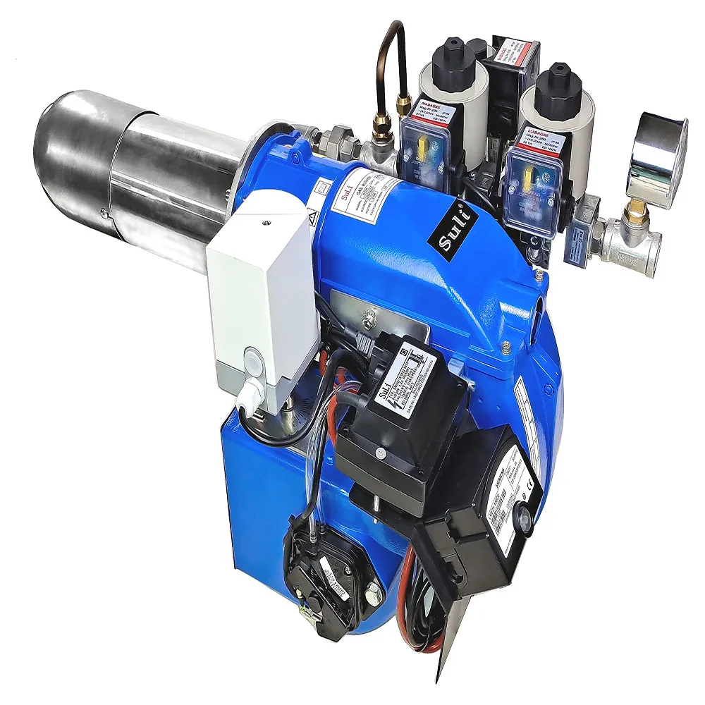 

2025 Сжиженный газ, порошок, распыление краски для выпечки, котел с подогревом, отработанное масло, суперборог, 23-58 кВт, горелка с низким азотом, природный газ Bioga