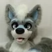Gray Blue Husky Wolf Fursuit Head Hand Paws and Tail Halloween Christmas Fancy Party Mascot Costume Accessories