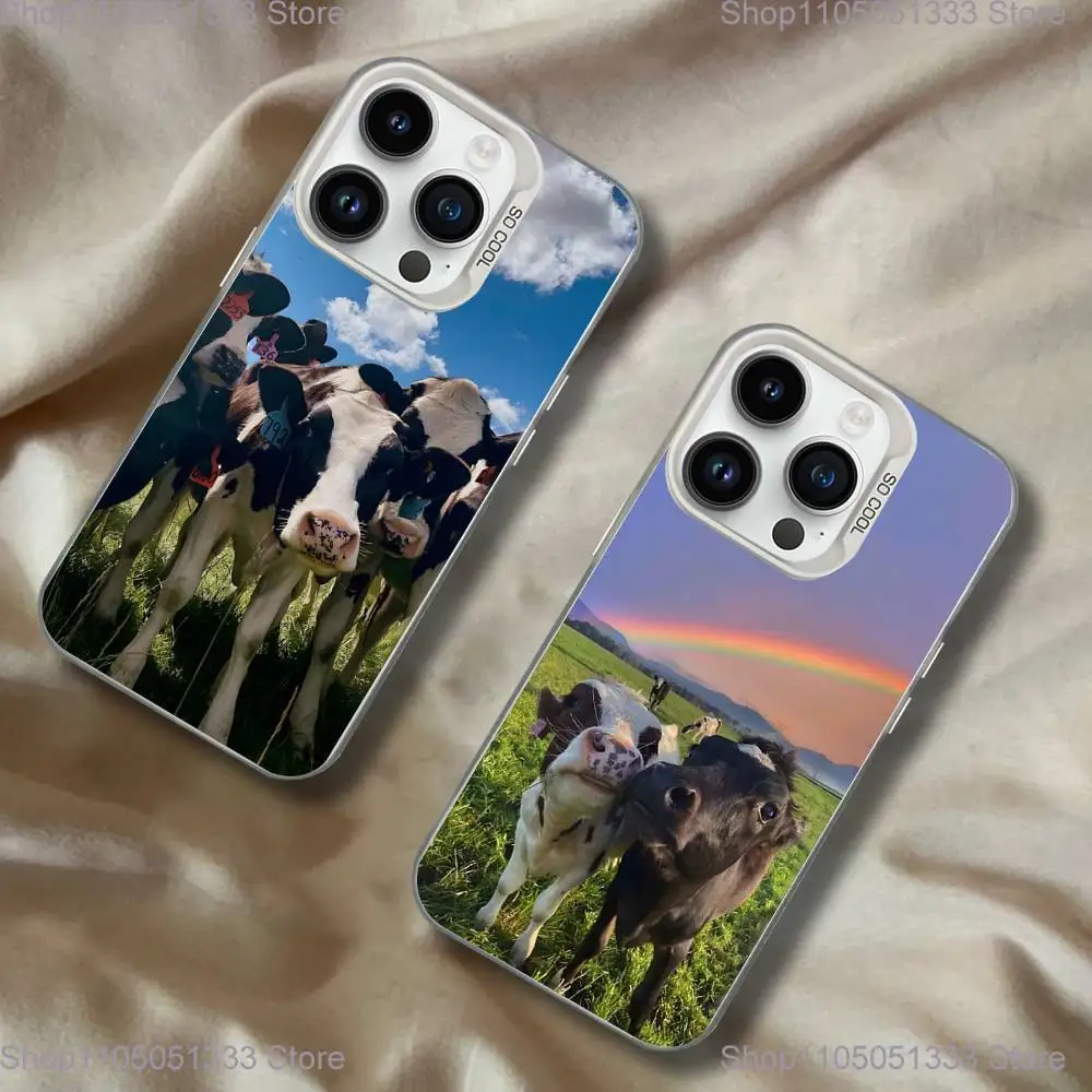 

Lovely Cute Cow Cows OX Phone Case For iPhone 16,15,14,13,12,11,Pro,XS,Max,Plus,Mini,SE White Candy Matte Shockproof Cover