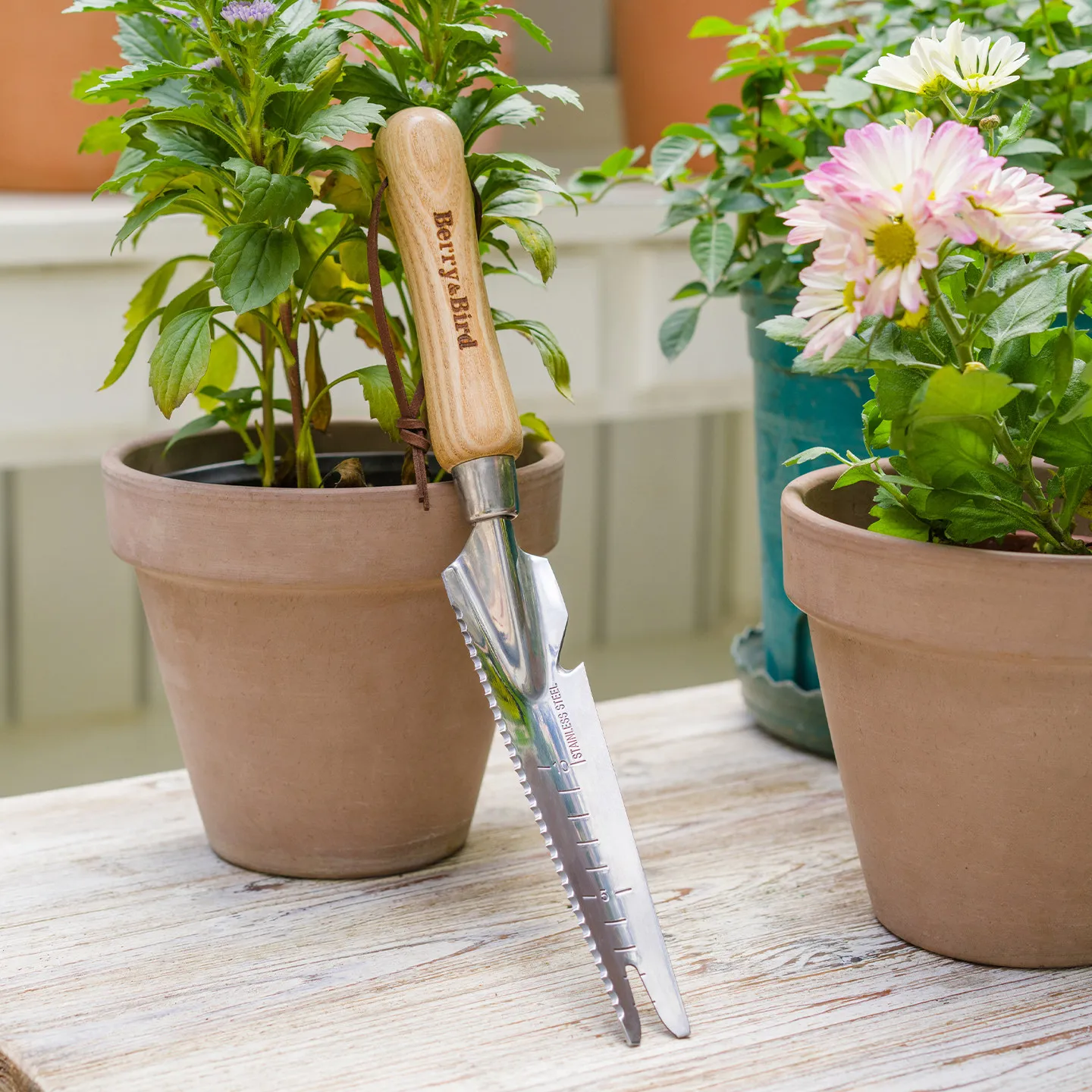 Gardening Forest Home Gardening Balcony Planting Flowers Weeding Loosening Soil Digging Plants Changing Potting weed puller