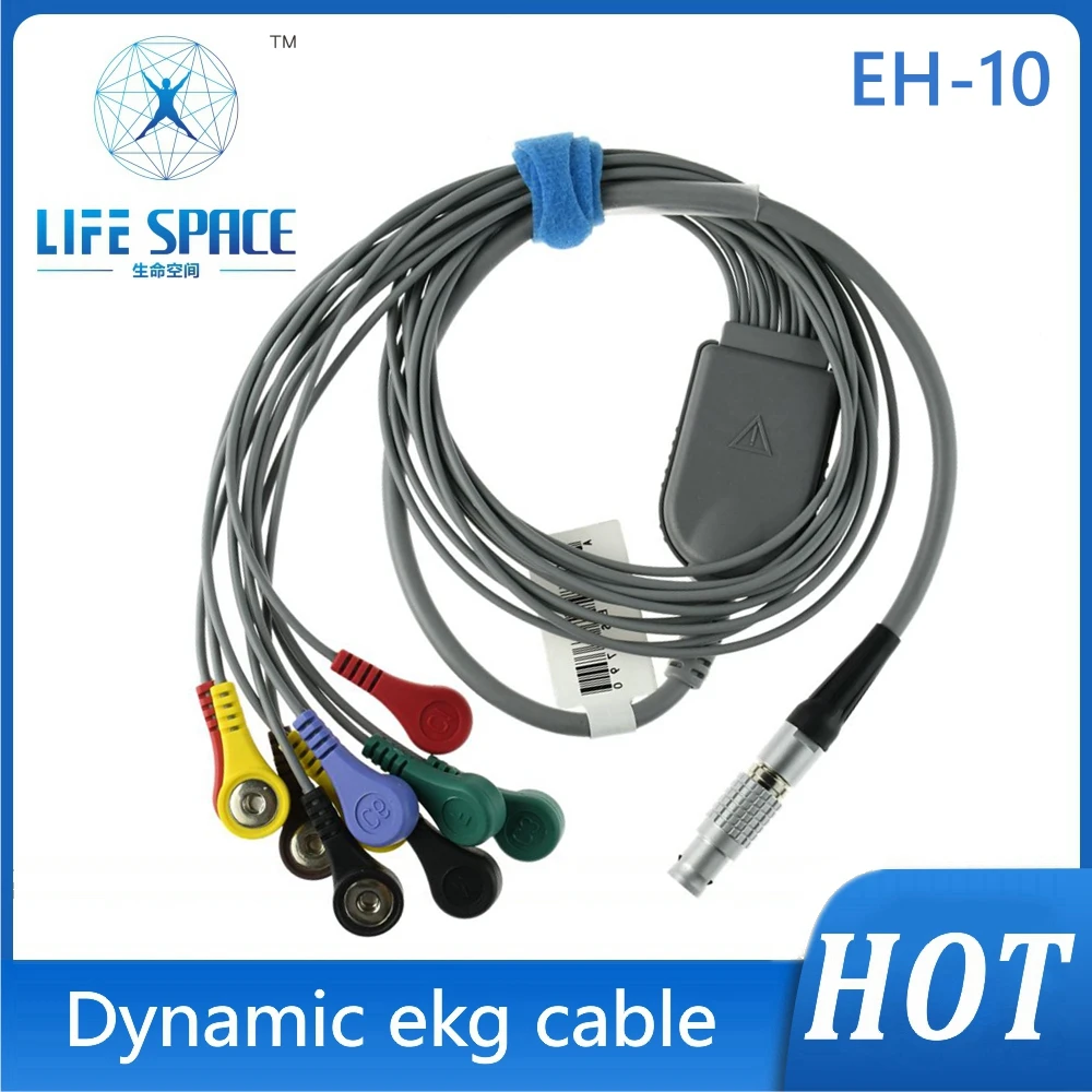 

Holter Cable ECG EKG Cable leads 10 Leads Channel ECG Holter Monitoring Recorder System only Cable for landcom 10pin