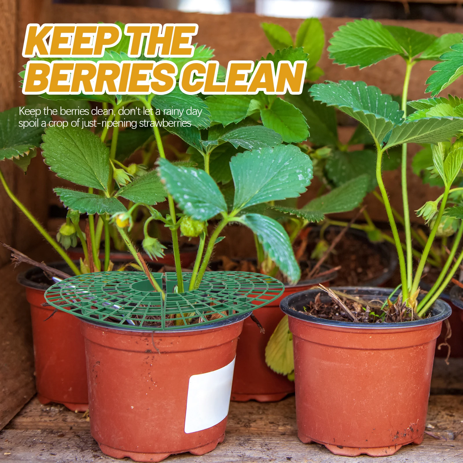 6pcs Plant Climbing Bracket for Strawberry Vegetable Growth Support Tray Gardening Tools Planter Growing St Rack