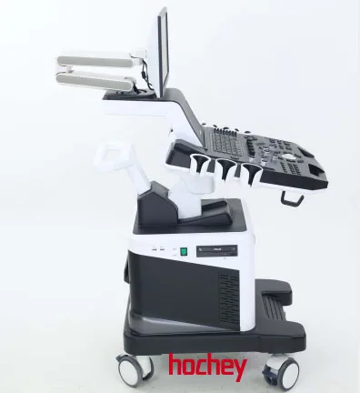 HOCHEY MEDICAL Veterinary Full Digital Ultrasound Scanner Hospital Equipment Veterinary Pet