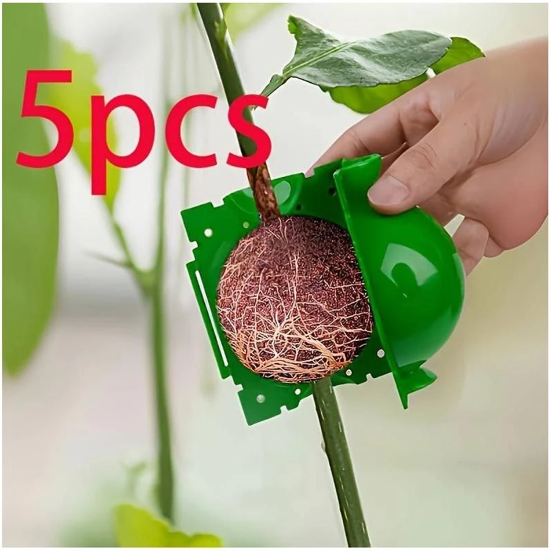 5 Individual High-Quality, Durable, and Reusable Root Growth Box, High-Quality Inoculation Ball Grafting Tool, Sturdy Root Growi