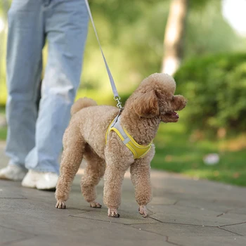 Puppy Harness Set 15