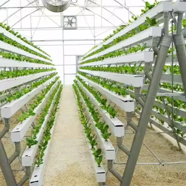 agricultural greenhouses aeroponics lettuce hydroponics system vertical  vertical growing racks nft system hydroponic