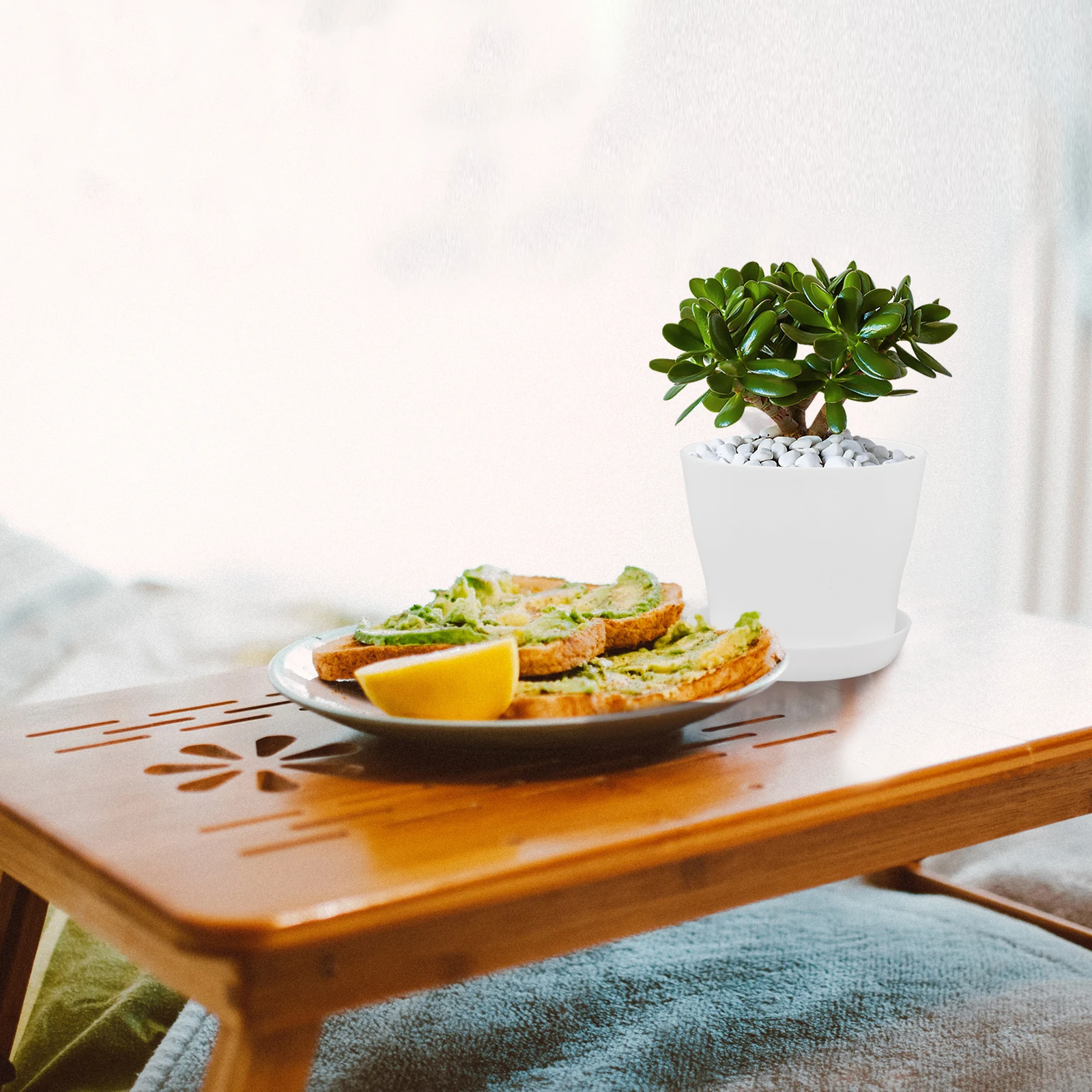 

1 set White Succulent Planters Set with Saucer PP Material Small Size for Garden Indoor Orchid Flowers PotHoles Planter