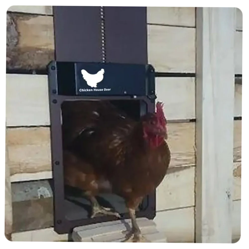 

1PCS Automatic Chicken House Coop Door Light-Sensitive Night And Morning Delay Auto Guard Door Opening Timer For Chickens