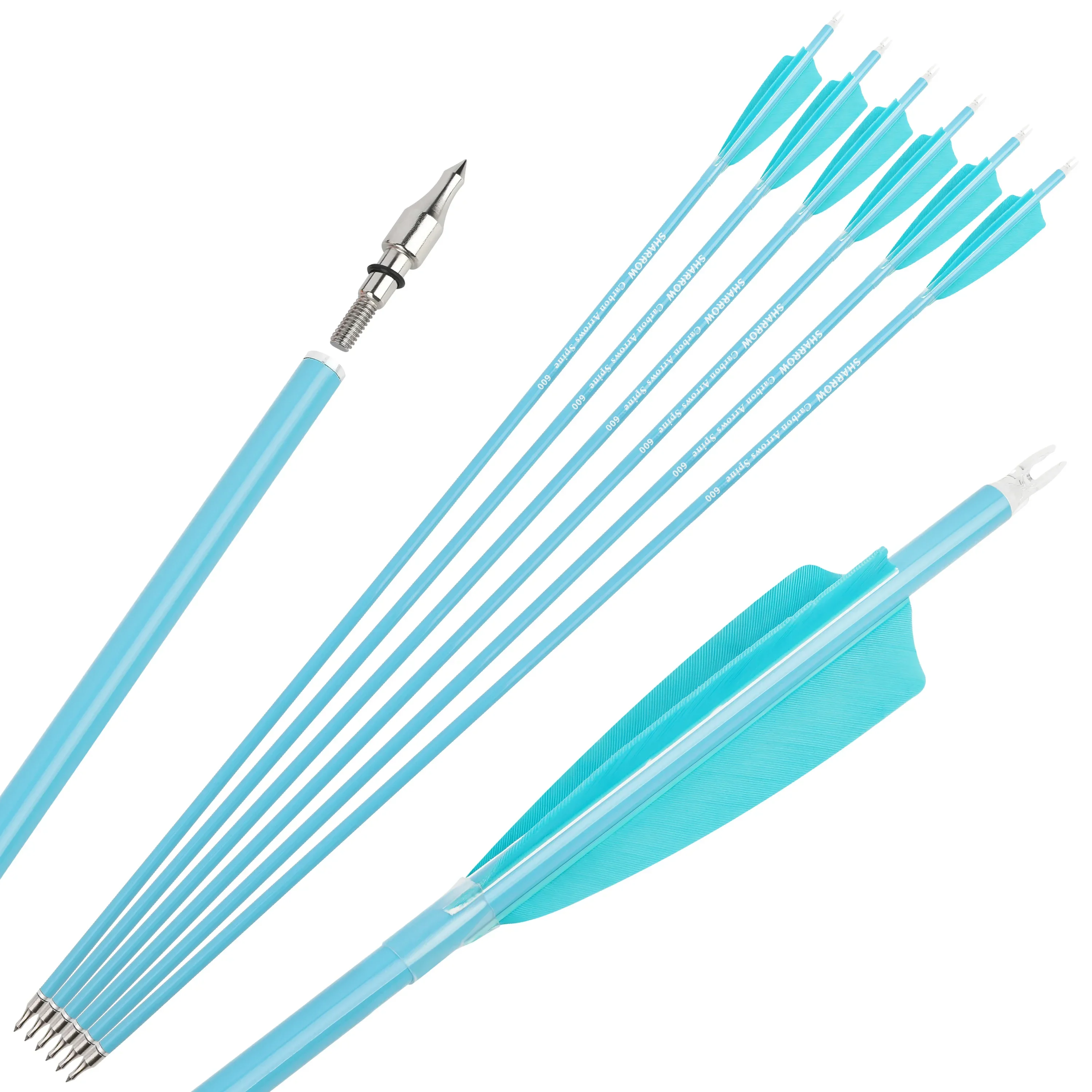Variant: 6pcs Spine500 Blue