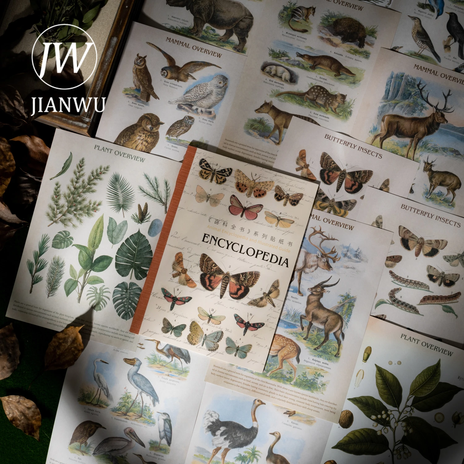 JIANWU موسوعة سلسلة خمر زهرة فراشة الطيور المشهد المواد الكولاج ملصق كتاب الإبداعية DIY مجلة القرطاسية #1