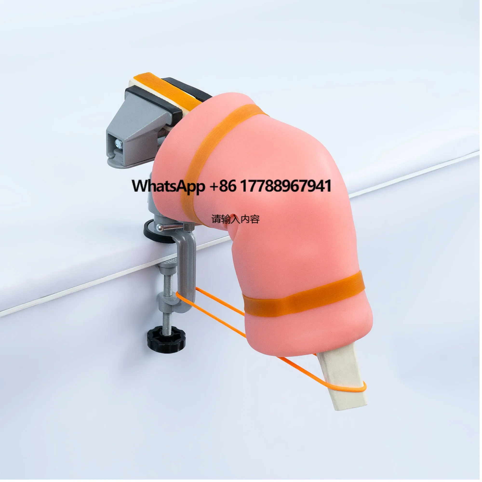 

Arthroscopy Clamp Knee Joint Model Shoulder Model Arthroscopic Surgery Simulation Training Equipment Training Simulator
