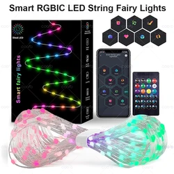 Garland USB 5V WS2812B Bluetooth LED String Fairy Lights 5/10/20M RGBIC String Light Party Christmas Lights Wedding Decoration