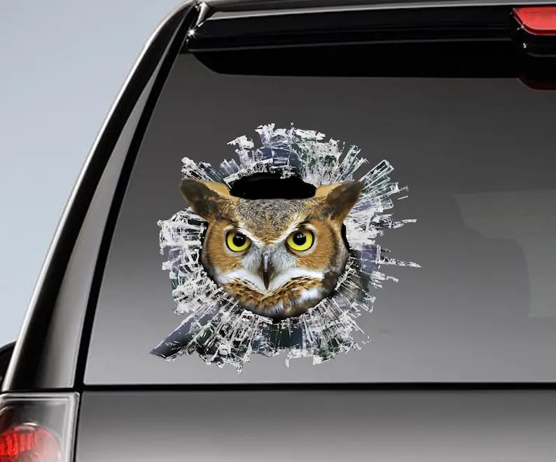 Owl window sticker , owl window decal, laptop sticker, funny decal, owl decal