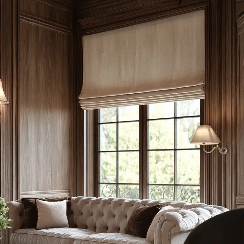 Hot Sale Factory Supply Price Blackout Fabric Easy to Install Motorized/Spring Roman Blinds for Windows