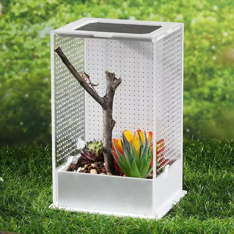

Habitat Landscaping Terrarium Glass Tub Reptile Acrylic Tanks For Reptiles