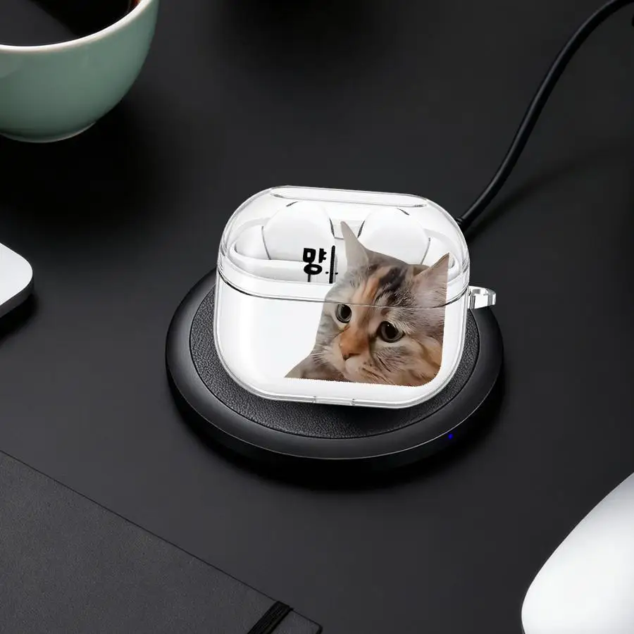 Clear Earphone Cases Cover With Hook Case For Samsung Galaxy Buds Live 3Pro 4 Pro 2 4Pro 2Pro 3 FE Injured Cat