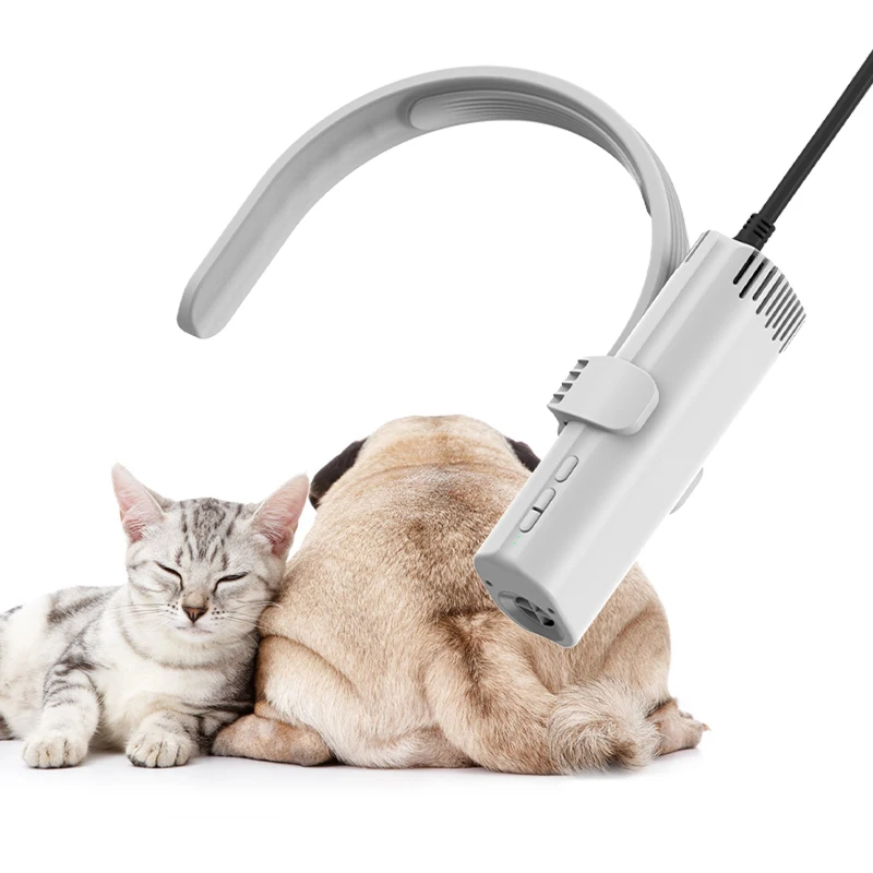 

Wholesale Ionic High Speed Brushless Motor 110000 RPM Fast Blowing OEM ODM Low Noise Fear Free Dryer Pet Hair Blower Dryer