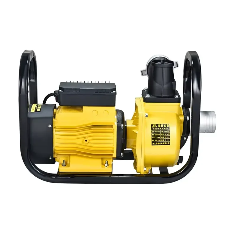 2.2kw 2 Inch Water Pump for Agricultural Irrigation in Pakistan