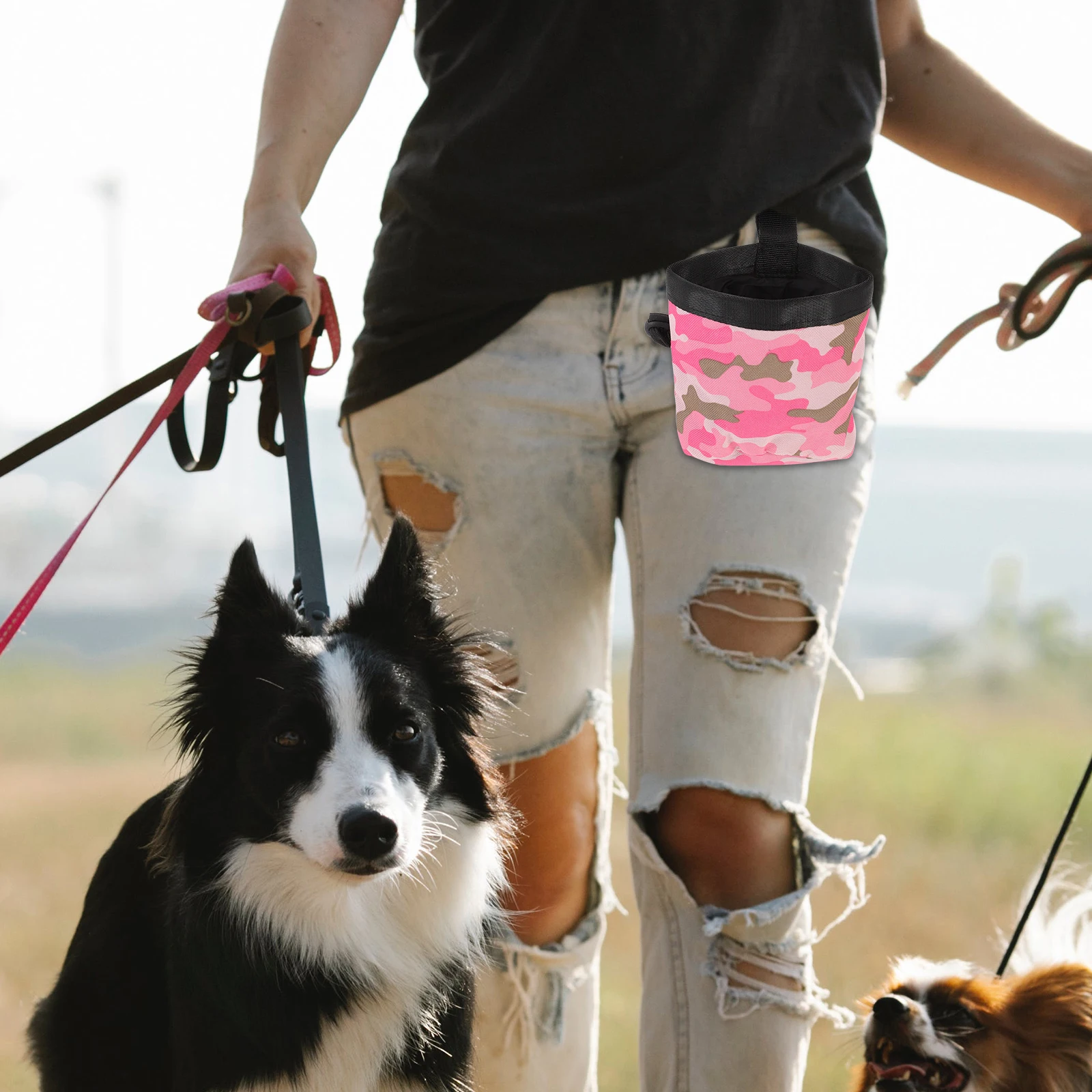 

Poop Bag Pet Training Travel Pink Dog Treat Oxford Cloth Outdoor Puppy Snack Pouch