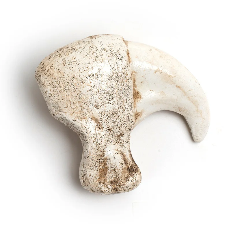 Resin Crafts Puma Claw Animal Necklace Accessories Teeth Skull Head Study Archaeology
