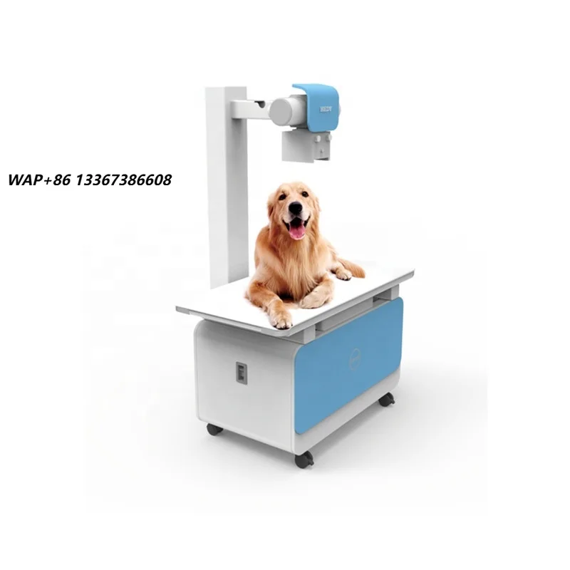 Pet DR veterinary x-ray high-quality imaging equipment factory direct sales low price