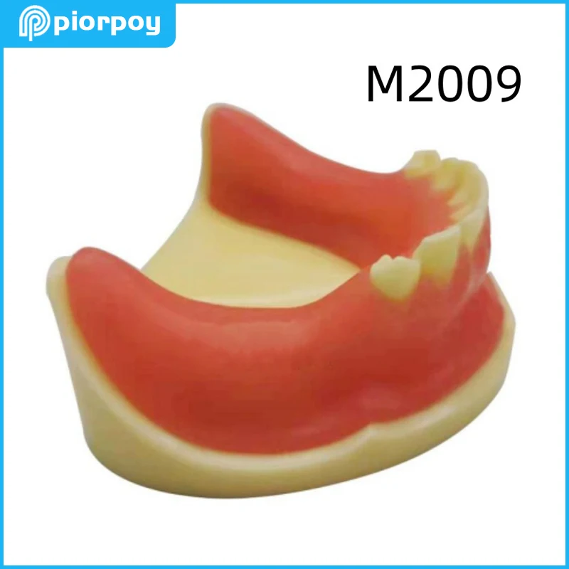 PIORPOY1Pcs Dental Implant Teaching Model with Gums 8 Teeth Dentistry Students Practice Products Odontologia Traning Tools M2012