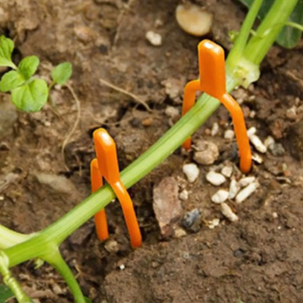 

200Pcs Plant Vine Fixing Clips Plastic Stolons Fastening Clamps Gardening Support Tool for Watermelon Strawberry Vine Fixator