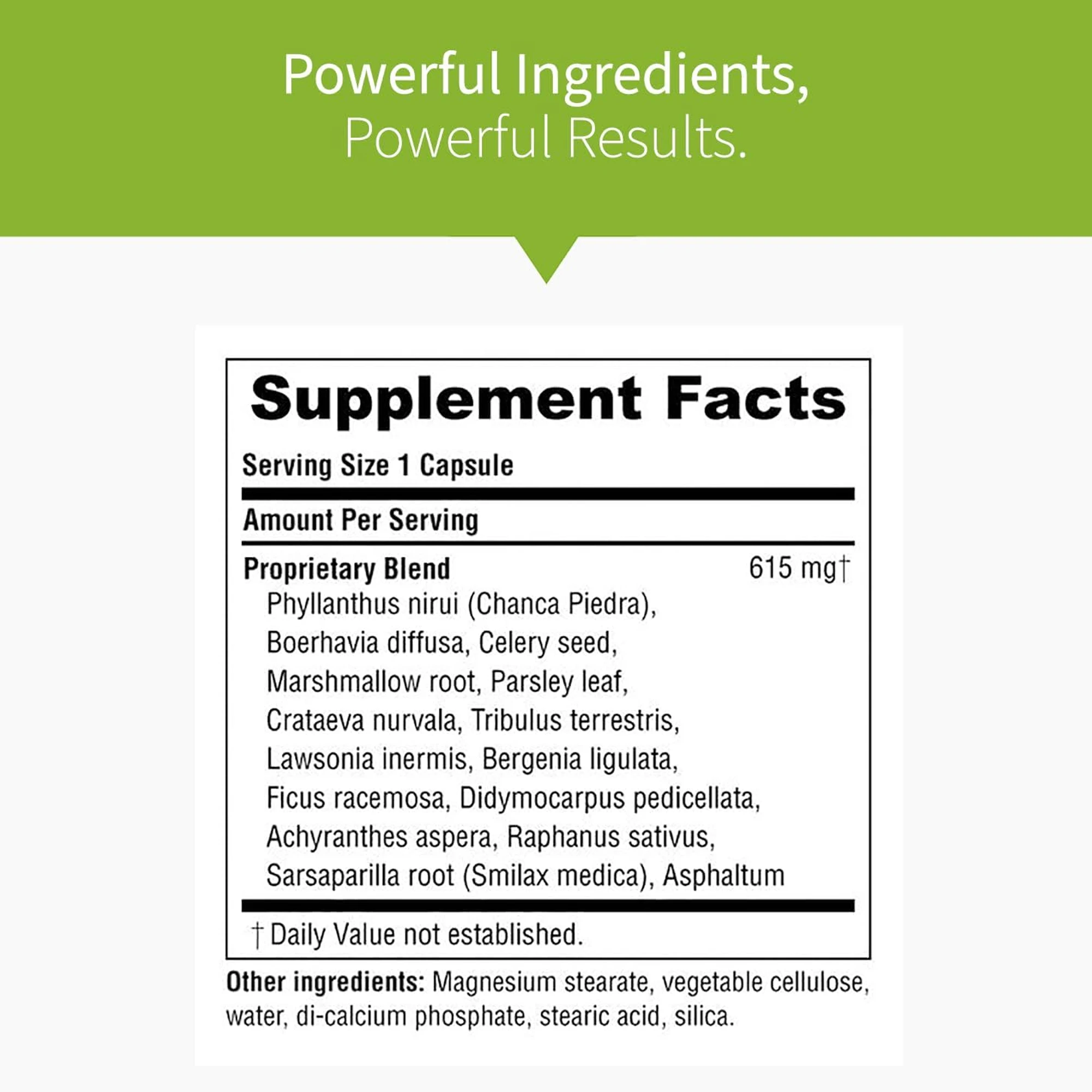 Kidney Cleanse - Premium Kidney Supplement with Chanca Piedra Stone Breaker - Supports Natural Cleansing & Urinary Tract Health