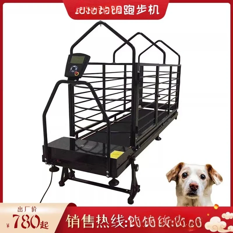 

Golden Retriever Bulldog Training Durbin Large Dog Dog Electric