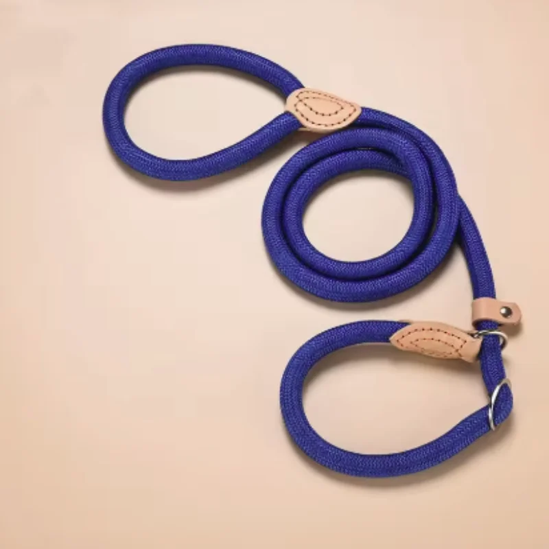 Neue Hundeleine, Slip-Leine, Robuste Geflochtene Seilleine mit Verstellbarem Schlaufenhalsband, Trainingsleine für Kleine und Mittelgroße Hunde – Detail 10