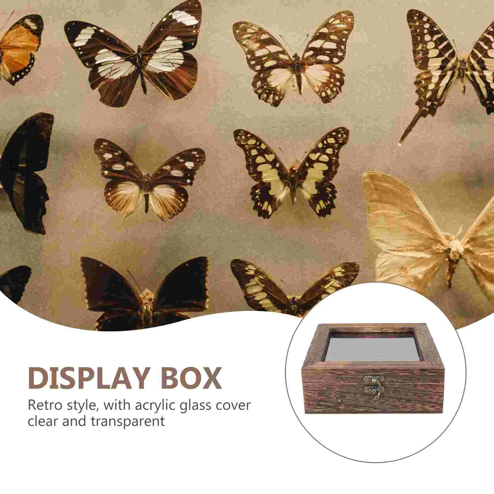 Butterfly Specimen Box Case Display Cabinet Lidded Sample Retro Wooden Plant Trays Holder Insect Jewelry