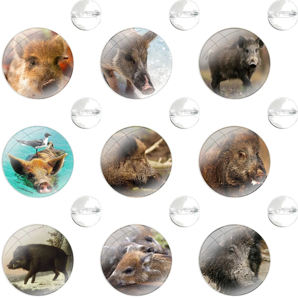 wild boar Glass Dome Brooches Shirt Lapel Bag Cute Badge Pins For Clothes Hat Accessories